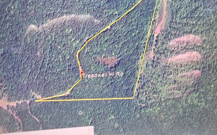 Pictures of Land property located at Treadwell Hl Rd lot 6 S, Springfield, ME 04487 for sales - image #1