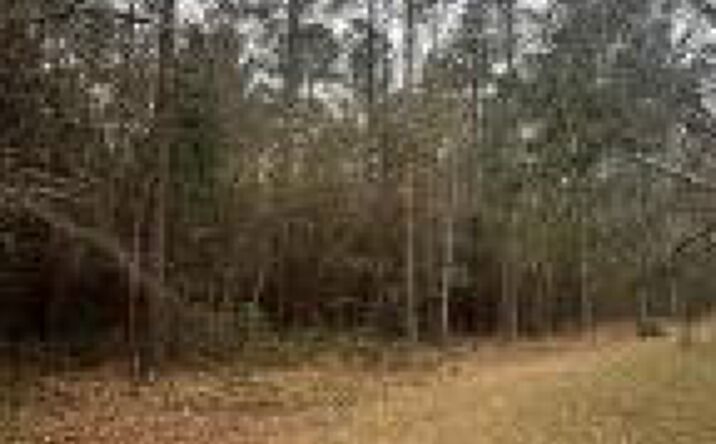 Pictures of Land property located at 0 Church Street, Gilbert, SC 29054 for sales - image #1