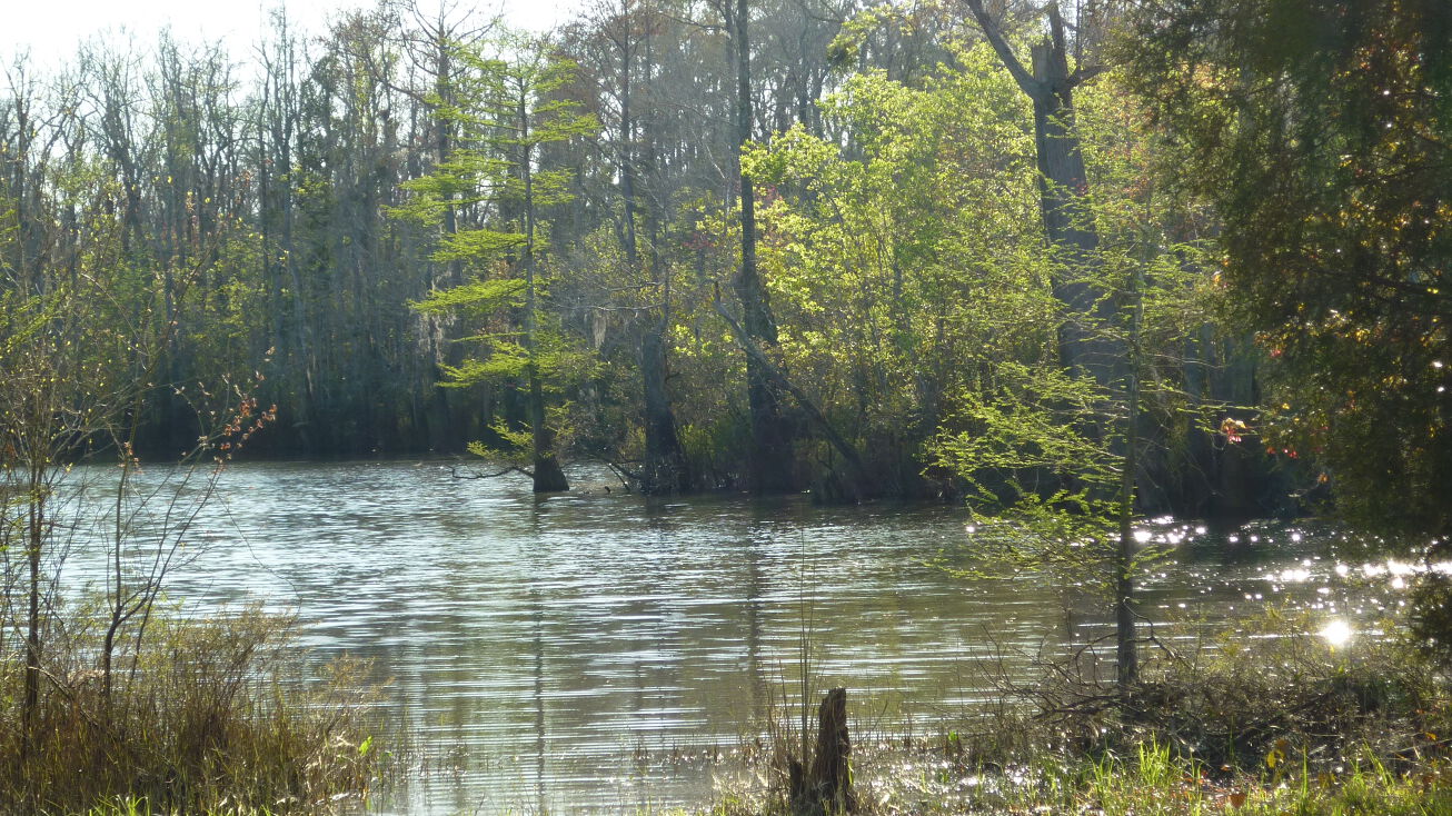 Pictures of Multifamily, Hospitality, Mixed Use, Land, Mobile Home Park property located at 2020 Becks Lake Rd, Cantonment, FL 32533 for sales - image #1
