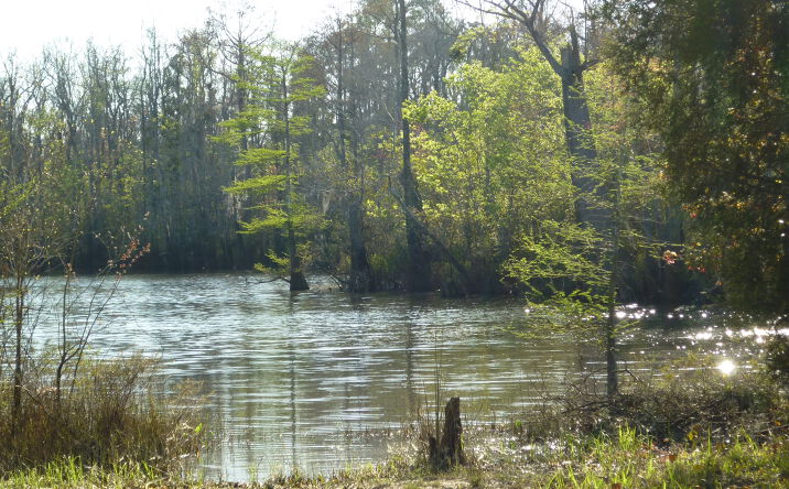 Pictures of Multifamily, Hospitality, Mixed Use, Land, Mobile Home Park property located at 2020 Becks Lake Rd, Cantonment, FL 32533 for sales - image #1