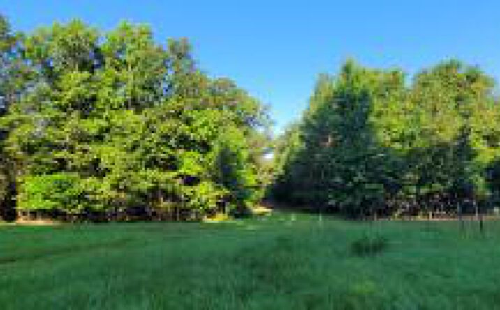 Pictures of Land property located at 0000 Atomic Road, Beech Island, SC 29842 for sales - image #1