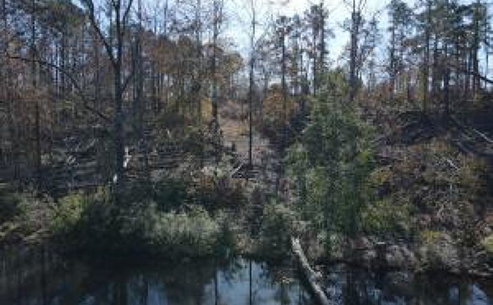 Pictures of Land property located at 0 Hummingbird Drive, Trenton, SC 29847 for sales - image #1