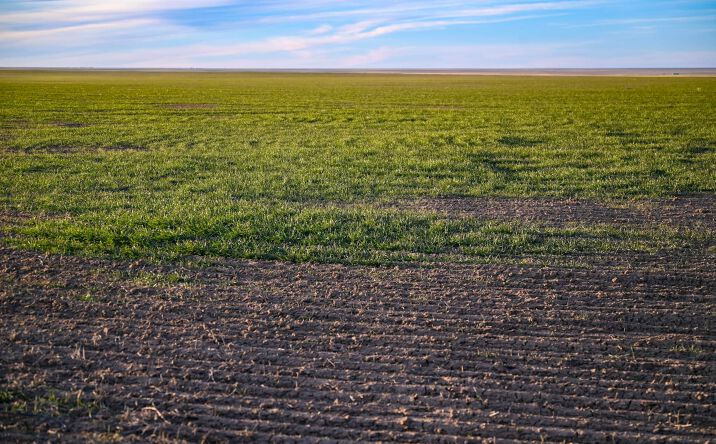 Pictures of Land, Business for Sale property located at TBD CR 30, Haswell, USA 81045 for sales - image #1