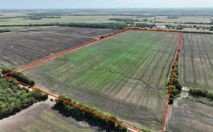 Pictures of Land property located at TBD County Road 26850, Petty, TX 75470 for sales - image #1