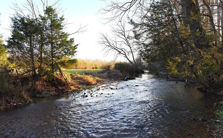Pictures of Land property located at 420 Stanley Syra Rd, Edmonton, KY 42129 for sales - image #1