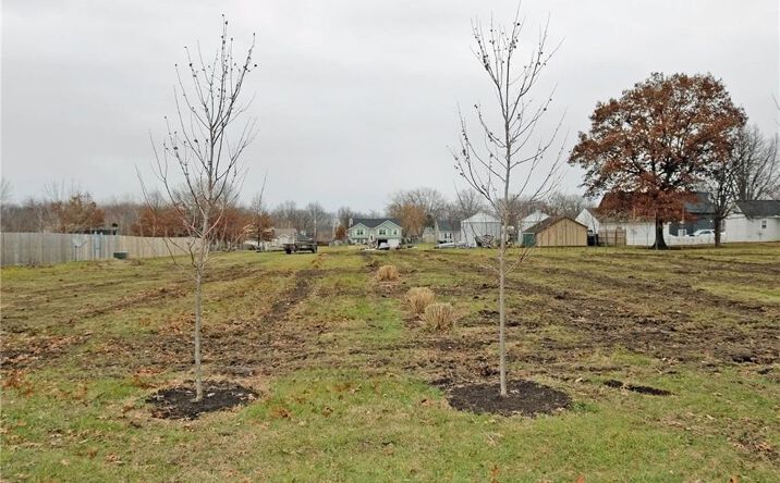 Pictures of Land property located at 504 Pennsylvania Avenue, East Lynne, MO 64743 for sales - image #1