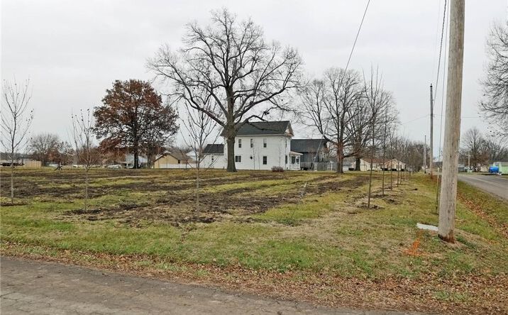 Pictures of Land property located at 500 Pennsylvania Avenue, East Lynne, MO 64743 for sales - image #1