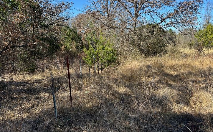 Pictures of Land property located at 102 Sean Lane, Bangs, TX 76823 for sales - image #1