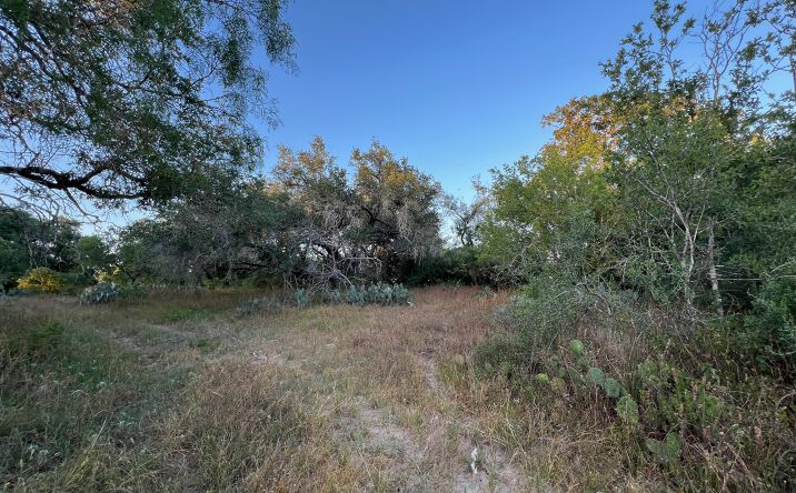 Pictures of Land property located at TBD Bruce Rd, Pleasanton, TX 78064 for sales - image #1
