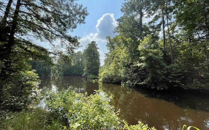 Pictures of Land property located at County Rd 4559, Winnsboro, TX 75494 for sales - image #1