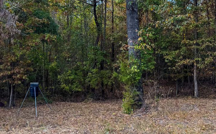 Pictures of Land property located at Bradley Ferry Rd, Camden, AR 71701 for sales - image #1