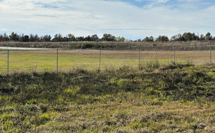 Pictures of Land property located at Industrial Park Rd, Sylvania, GA 20467 for sales - image #1