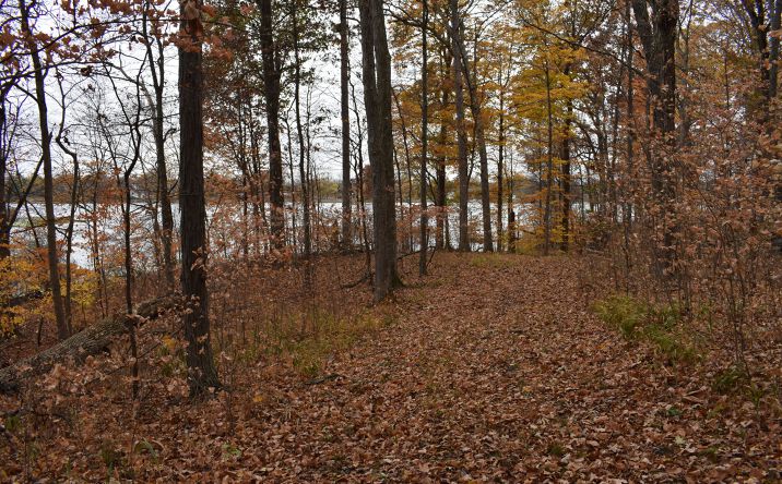 Pictures of Land property located at 93.21 +/- Acres of Recreational Paradise, Warsaw, IN 46580 for sales - image #1