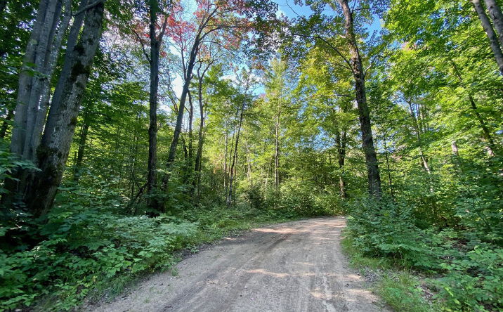 Pictures of Land property located at Old Stump Unit 20 acres, Gaylord, MI 49735 for sales - image #1