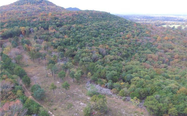 Pictures of Land property located at Co Rd 639, Berryville, AR 72616 for sales - image #1