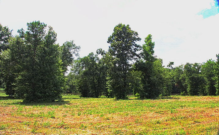 Pictures of Land property located at 865 Stone Chimney Rd, Bullard, TX 75757 for sales - image #1