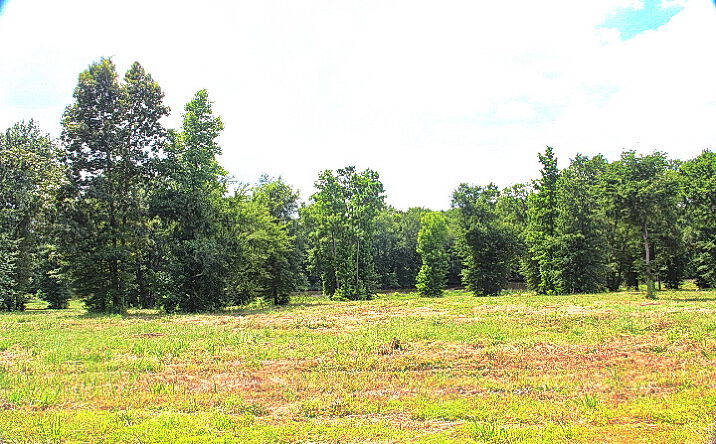 Pictures of Land property located at 885 Stone Chimney Rd, Bullard, TX 75757 for sales - image #1