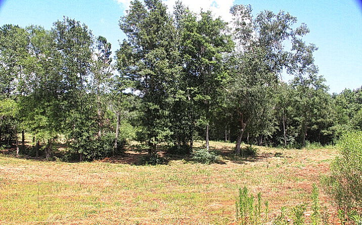 Pictures of Land property located at 985 Stone Chimney Rd, Bullard, TX 75757 for sales - image #1