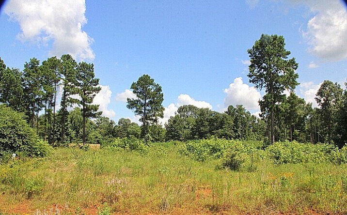 Pictures of Land property located at 930 Stone Chimney Rd, Bullard, TX 75757 for sales - image #1