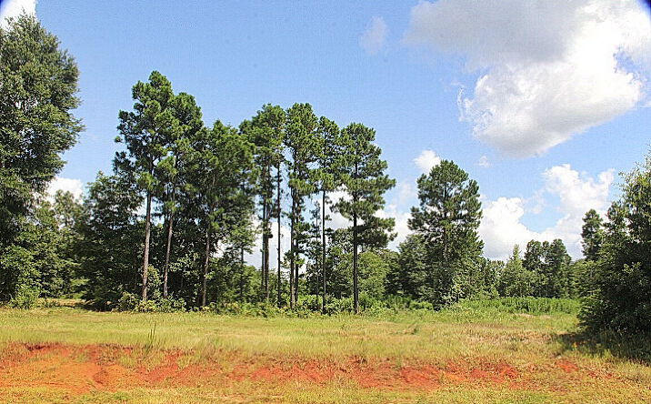 Pictures of Land property located at 900 Stone Chimney Rd, Bullard, TX 75757 for sales - image #1