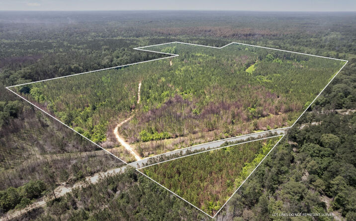 New York Rd, Brooklyn, MS 39425 | Crexi.com