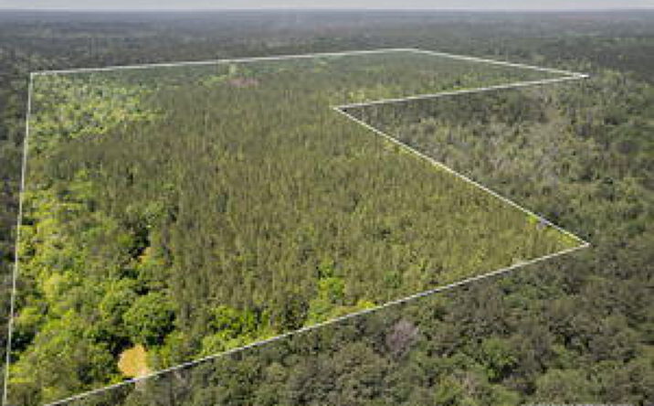 New York Rd, Brooklyn, MS 39425 | Crexi.com
