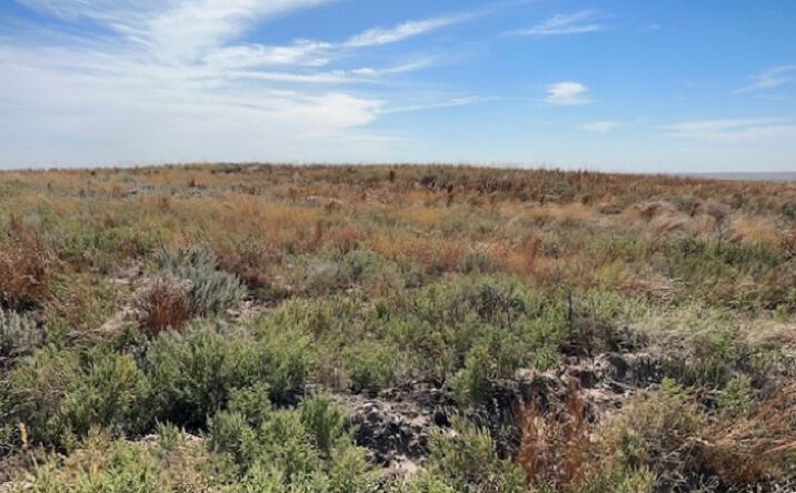 Pictures of Land property located at Highway 64 & County Road 44, Gage, OK, USA, Gage, OK 73843 for sales - image #1