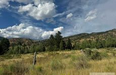 21172893