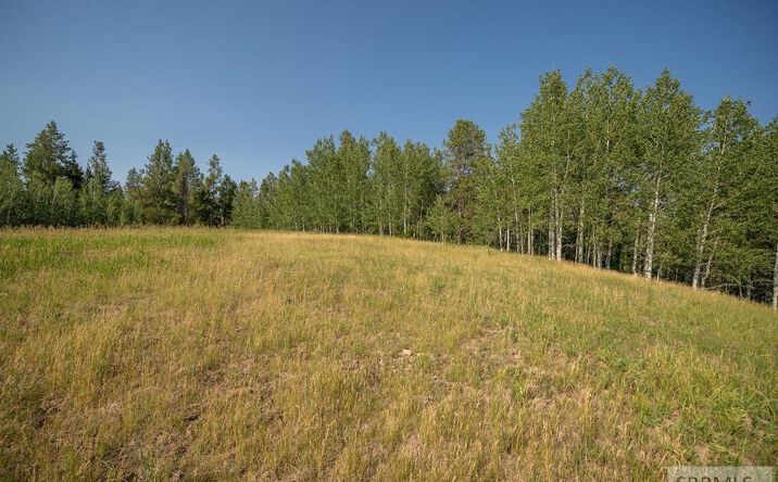 Pictures of Land property located at Lot 11 Potpourri Drive, Ashton, ID 83420 for sales - image #1