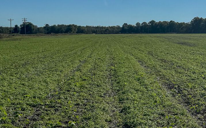 Pictures of Land property located at Warrior Farm, Monroe, AR 71601 for sales - image #1