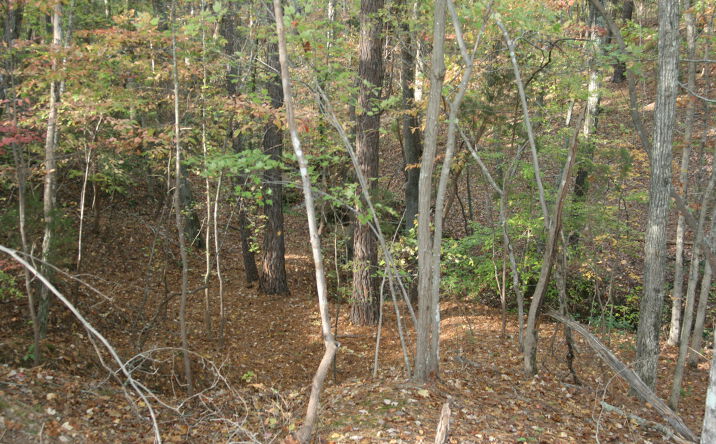 Pictures of Land property located at 4969 US-401, Youngsville, NC 27596 for sales - image #1