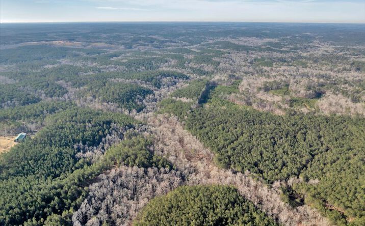Pictures of Land property located at GA-11, Hillsboro, GA 31038 for sales - image #1