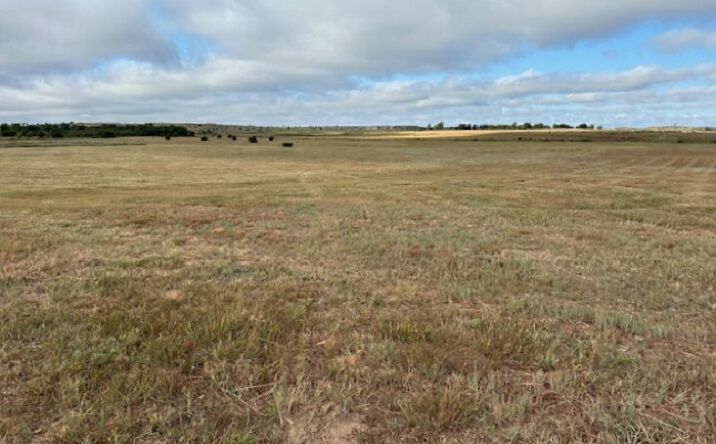 Pictures of Land property located at County Road 202 & County Road 43, Woodward, OK, USA, Woodward, OK 73801 for sales - image #1