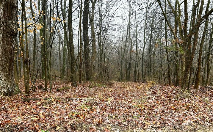 Pictures of Land property located at 29870 Staats Road, Howard, OH 43028 for sales - image #1