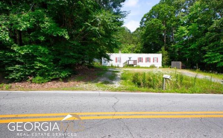Pictures of Mixed Use property located at 0 Georgia 138 Highway, Loganville, GA 30052 for sales - image #1