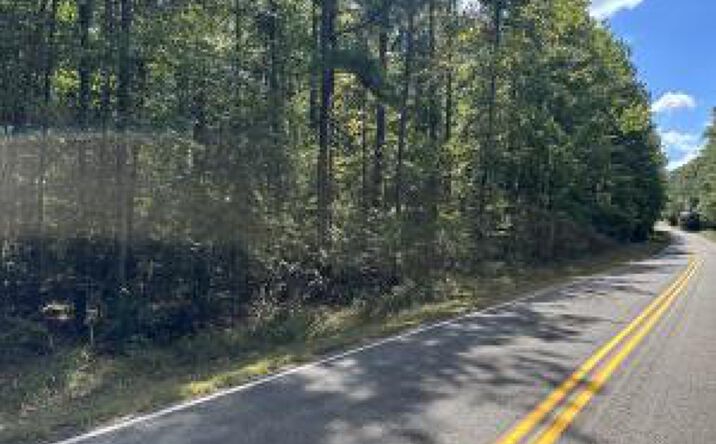 Pictures of Land property located at Tbd North Martintown Road, Edgefield, SC 29824 for sales - image #1