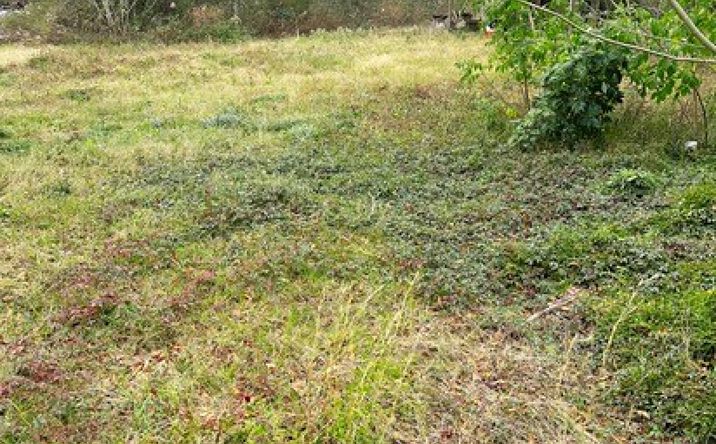 Pictures of Land, Multifamily property located at 51 Dove Ridge, Carriere, MS 39426 for sales - image #1