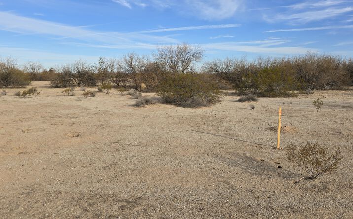 Pictures of Land property located at 900 S 523RD Ave, Tonopah, AZ 85361 for sales - image #1