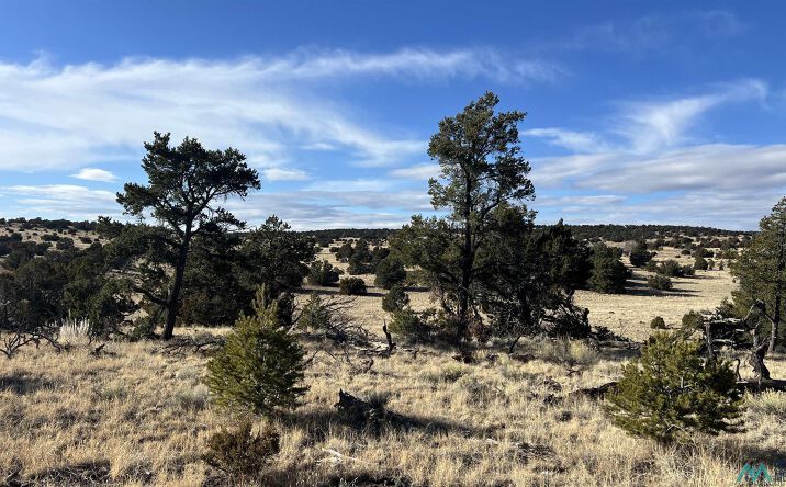 Pictures of Land property located at 27 Equestrian Lane Road, Quemado, NM 87829 for sales - image #1