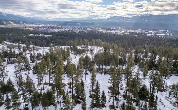 Pictures of Land property located at 61 Ozette Drive, Libby, MT 59923 for sales - image #1