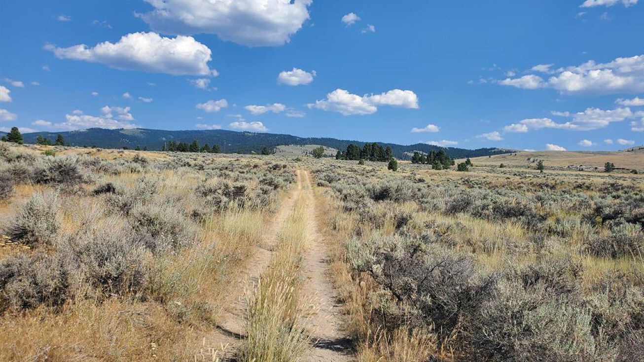 NHN Sunnyside Cemetery Road, Stevensville, MT 59870 | Crexi.com