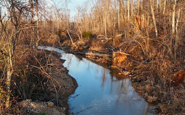 Pictures of Land, Business for Sale property located at State Highway 34, Glenallen, MO 63751 for sales - image #1