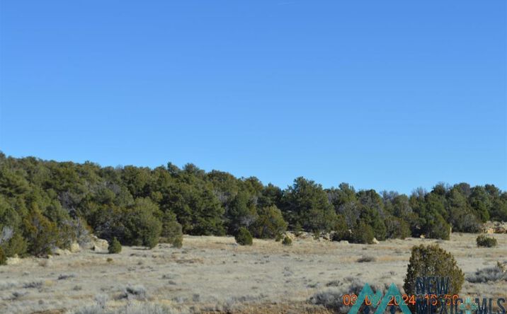 TBD Sierra De Manana Drive, Candy Kitchen, NM 87321 | Crexi.com