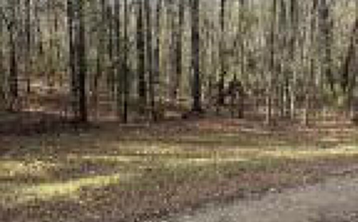 Pictures of Land property located at Tbd Pine Valley Drive, Edgefield, SC 29824 for sales - image #1