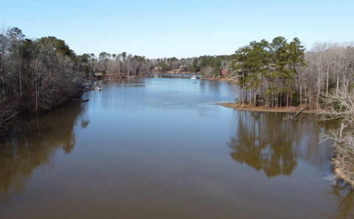 Pictures of Land property located at Rhinehart Road, Batesburg, SC 29006 for sales - image #1