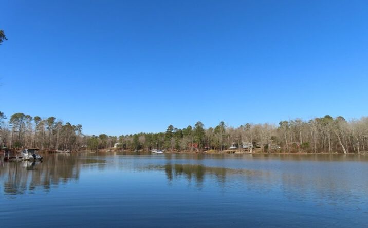 Pictures of Land property located at Rhinehart Road, Batesburg, SC 29006 for sales - image #1