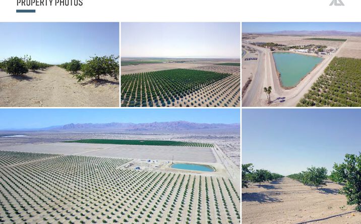 Pictures of Land property located at Wilkins Rd, Niland, CA 92257 for sales - image #1
