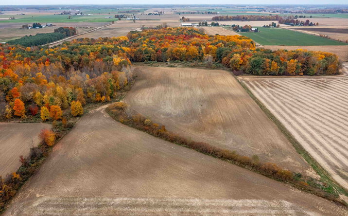 Pictures of Land property located at 0 Wood Road, Marlette, MI 48453 for sales - image #1