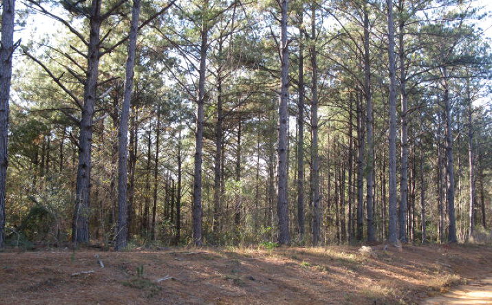 Pictures of Land property located at lot 1  Parkview Estates, Ellisville, MO 63021 for sales - image #1