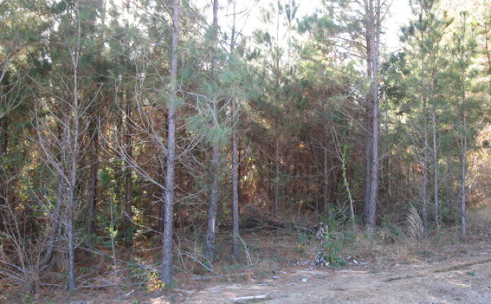 Pictures of Land property located at Lot 3 Parkview Estates, Ellisville, MO 63021 for sales - image #1